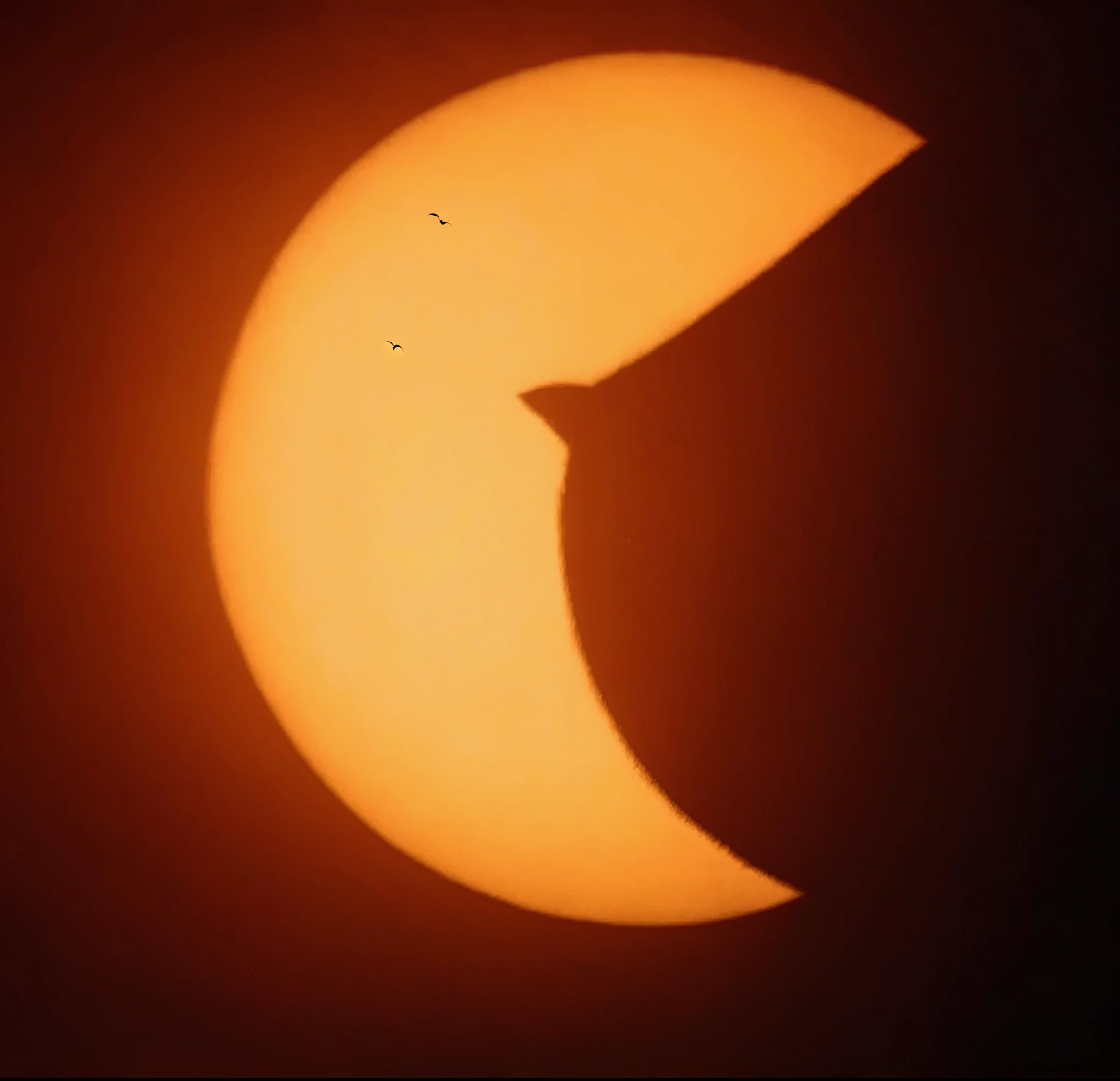 a close up of a partial eclipse with a bird flying in the sky, during an eclipse, solar eclipse, solar eclipse in iceland, an eclipse, solar eclipse in the sky, dark solar eclipse, shining Crescent Moon, eclipse, Crescent Moon, sun is in the top, nuclear blast moon eclipse, noon, 🚀🚀🚀, The sun rising in the sky is strong