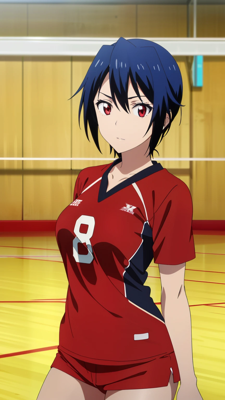 (best quality, 8k, highres, masterpiece:1.2), ultra-detailed, anime art style, anime coloring, solo, 1 girl, Seishiro Tsugumi, volleyball attire, gymnasium, medium-sized large breasts, solo, stylish pose, stylish angle, gazing at the audience, centered in the image, cowboy shot.