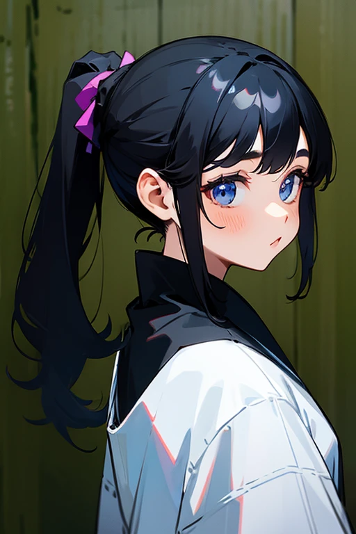 Girl with black hair ponytail、