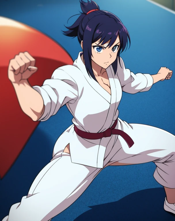 Anime woman, karate clothes, mildly muscular, toned legs, fighting pose