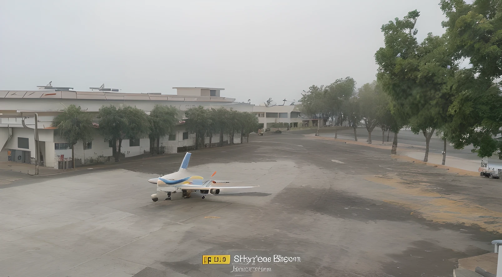 Sky in bloom and airplane