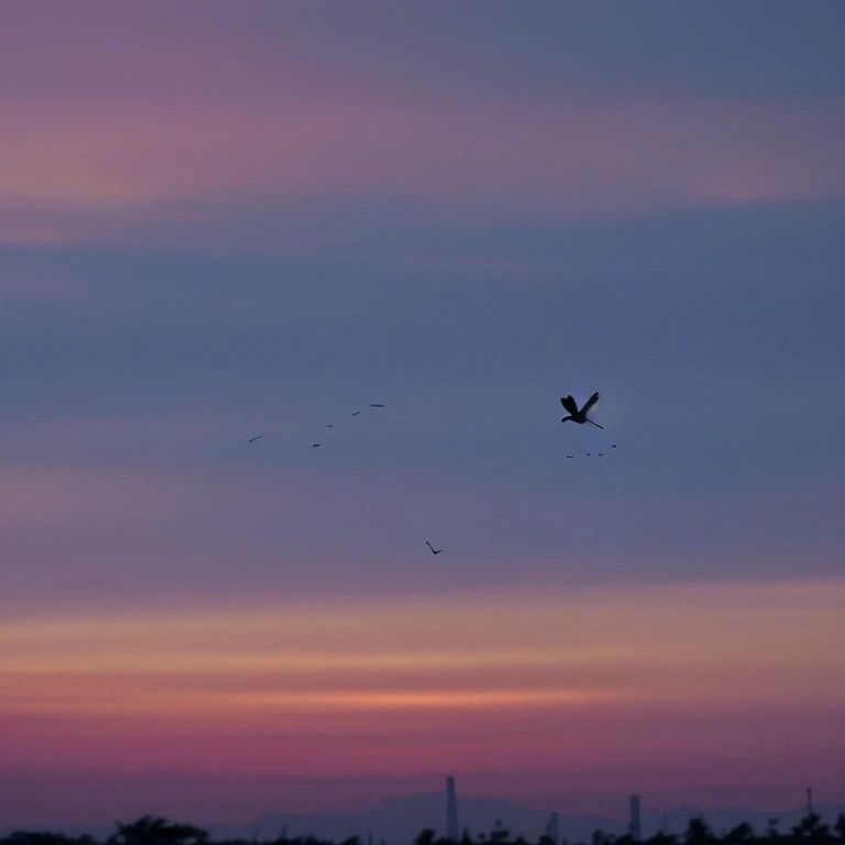Lost Birds,Flying alone at dusk。
Wandering without end,The sound of sadness turns every night。