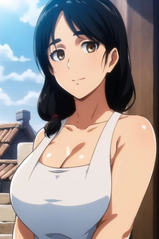 (day:1.7), a city with a lot of buildings and a sky background with clouds in the background and a blue sky, architecture,
Standing at attention, at the roof,
deep cleavage, collarbone, White apron,bare shoulders, 
black Hair,  brown eyes, Bangs, single braid, 
1 girl, 20yo,Young female,Beautiful Finger,Beautiful long legs,Beautiful body,Beautiful Nose,Beautiful character design, perfect eyes, perfect face,expressive eyes,
looking at viewer, in the center of the image,(Upper_body),(close-Up),(Focus on her face),
official art,extremely detailed CG unity 8k wallpaper, perfect lighting,Colorful, Bright_Front_face_Lighting,shiny skin, 
(masterpiece:1.0),(best_quality:1.0), ultra high res,4K,ultra-detailed,
photography, 8K, HDR, highres, absurdres:1.2, Kodak portra 400, film grain, blurry background, bokeh:1.2, lens flare, (vibrant_color:1.2)
(Beautiful,large_Breasts:1.4), (beautiful_face:1.5),(narrow_waist),