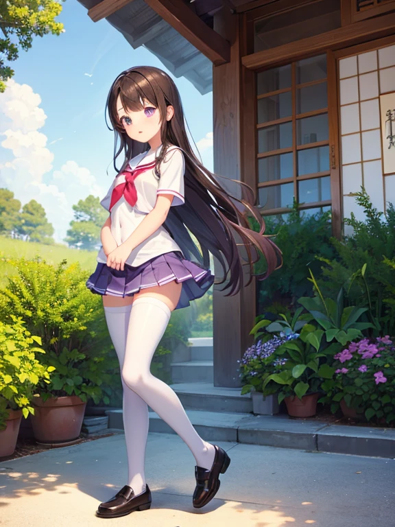 The main girl is beautiful and cute, "neat and bright slope  coordination", full body, full body illustration, best illustrations, realistic and elaborate uniform, high , , ((highest quality)), ((Masterpiece)), (details: 1.4), Anatomy, Award-winning concept art, beautiful, fine detailss, Portrait, look at the audience, (show full body)), 1 girl, full body, alone, 6 years old, school chilor, ผมpurpl-long hair, blue and pink eyes, Big eyes, The left pupil is star-shaped., Characteristics of the left pupil, Left pupil clear, left eye pupil detailsed, cute underwear, trousers, skirt, silk trousers, Wet shirt, Wet clothes, skirt lift, Blush, classroom, Navel out, lift clothes, simple background, lift clothes, white shirt, uniform, fashion suit jacket, Japan cute uniform, Turn away, short sleeve, change, primary school, main girl is beautiful and cute, sexy, Young face, cute, หนุ่มgirl, หนุ่มgirl, หนุ่มgirl, หนุ่มgirl appearance, Excellent visualization, Professional results, girlbeautiful, girl, Transparent clothes that are sweaty, unevenness, vanity, unevenness, uniform is the oldest girls' school Japan based on Christianity along with the girls' academy, Very cute in traditional uniform", "Very cute sailor suit for both summer and winter clothes", loafers heels, ผมpurple, the main girl is beautiful and cute ข้อมูล