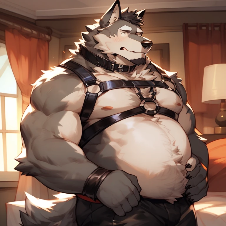 solo, male, werewolf, wolf, canine, big, , older, burly, muscular, facial hair, black beard, nervous, chest hair, stomach hair, happy trial, grey fur, body hair, harness, collar, leather, tight, fluffy body, bedroom, by mystikfox61, by darkgem, by glitter trap boy, by bebebebebe