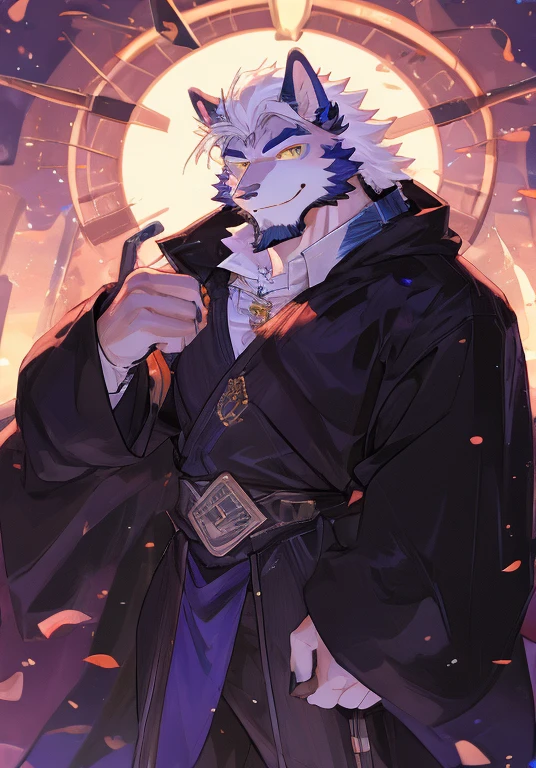 (最OK质量), 1 male, aldult, Anthropomorphic white canine, golden eyes, white fur, white hair, black robe, Purple peaked hat,slender figure, OK, Smile, cool pose, Sunset background.