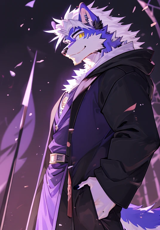(最OK质量), 1 male, juvenile, Anthropomorphic white canine, golden eyes, white fur, white hair, black robe, Purple peaked hat,Part of the body is not covered by clothing,slender figure, OK, Smile, cool pose, forest background.