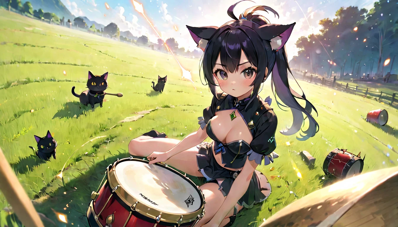 (masterpiece, best quality, very aesthetic, absurdres, general), 1 girl, cat ear, long ponytail, cute, kawaii, blunt bangs,focus on the face, fisheye, particles of light,knee shot shot,medium breasts,destroy ,Grassland,smaller breasts, Pose that emphasizes the chest,Witch, woman playing a drum