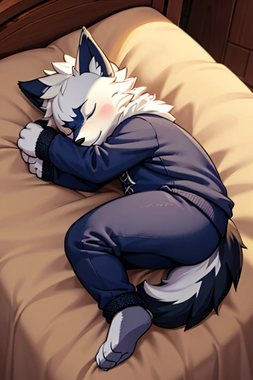 A sleeping furry/anthropomorphic wolf, curled up in fetal position, sleeping peacefully, high quality, eyes closed, laying down in a curled position, wearing cozy clothing,