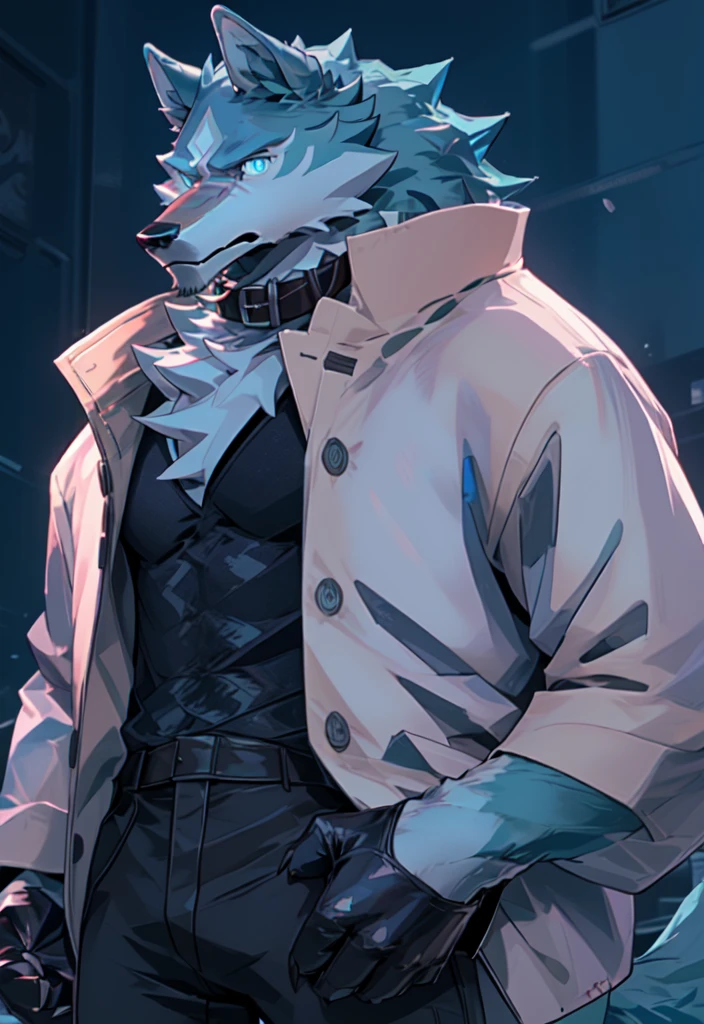 ogamishirou, brand new animal, studio trigger, shirou ogami, white fur, white body, blue eyes, collar, coat, gloves, wolf, canid, canine, canis, mammal, anthro,