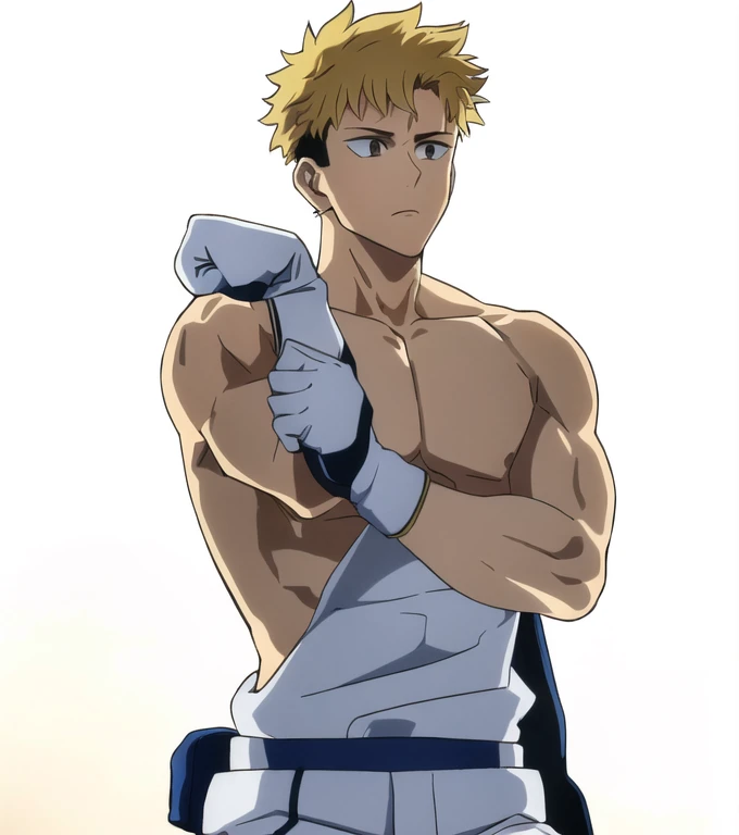 (Illustration, high resolution, best quality: 1.5, masterpiece, minimalist, simplistic detail, anime), solo: 2, fit male, adult male, upper body, half body portrait, shirtless: 2, boxer, boxing gloves, vox machina style, itadori yuji, blond: 1.5, shaded face, Epic background,