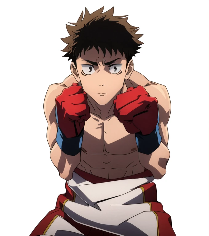 (Illustration, high resolution, best quality: 1.5, masterpiece, minimalist, simplistic detail, anime), solo: 2, fit male, adult male, upper body, half body portrait, shirtless: 2, boxer, boxing gloves, vox machina style, itadori yuji, blond: 1.5, shaded face, dark shade face,