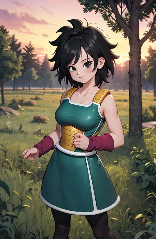 masterpiece, best quality, gine, saiyan armor, collarbone, green skirt, wristband, black pantyhose, upper body, smile, looking at viewer, field, trees, sunset sky, 1 girl, solo