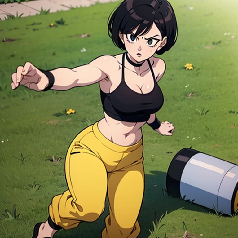 Dragonball, Dragonball art style, solo, girl, short black hair, straight bob cut, ripped clothing, black tube top, puffy white harem pants, golden arm rings, feet, standing, fighting stance, feminine, grassy