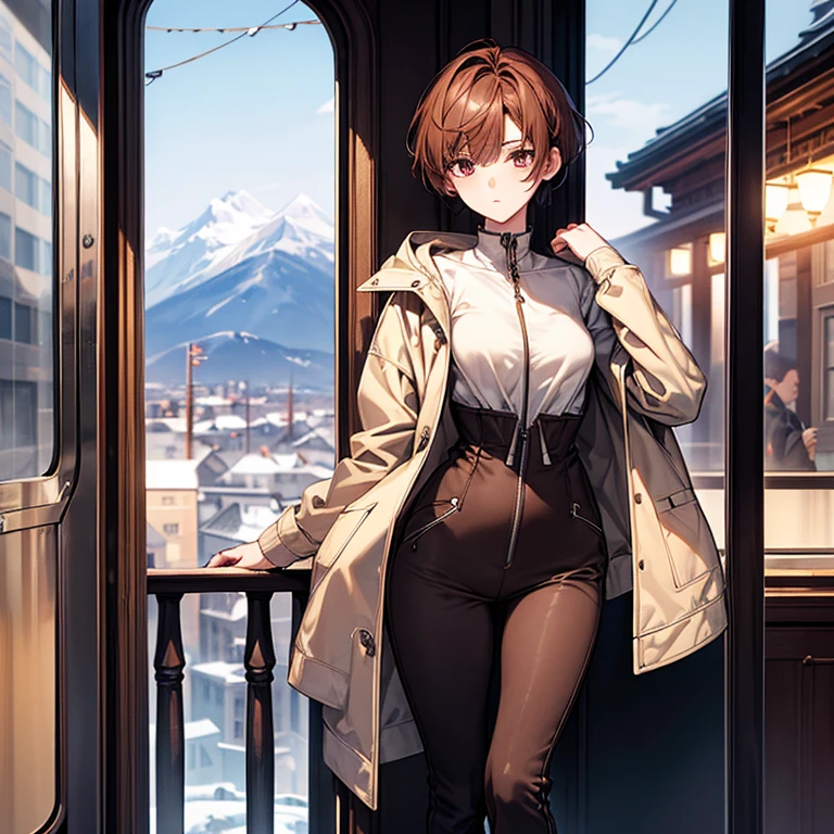 masterpiece、delicate details、On a city train、Slender beauty、Oversized mountain parka（Close front）、high neck、Zipped up to the neck、skinny pants、tall、I like the style、small breasts、Sharp Eyes、cool beauty、older sister、pixie cut、short nape、Thick-soled boots、Reddish brown hair、