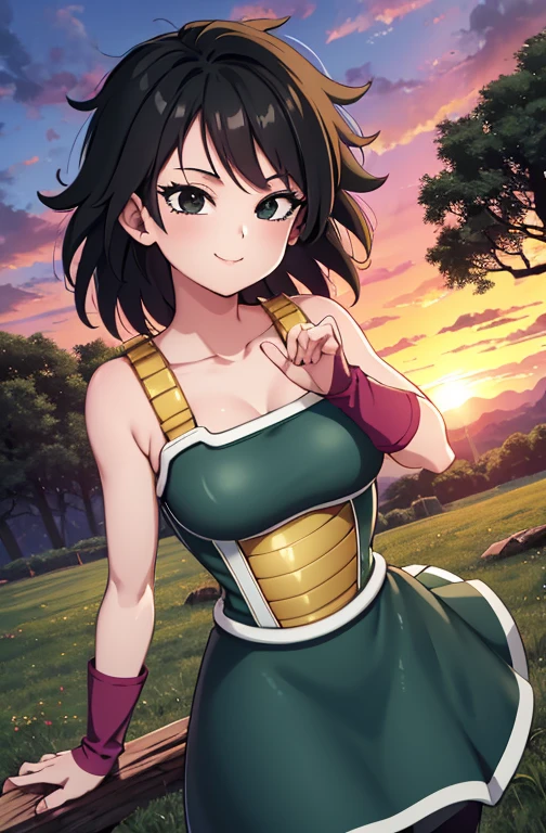 masterpiece, best quality, gine, saiyan armor, collarbone, green skirt, wristband, black pantyhose, upper body, smile, looking at viewer, field, trees, sunset sky, 1 girl, solo