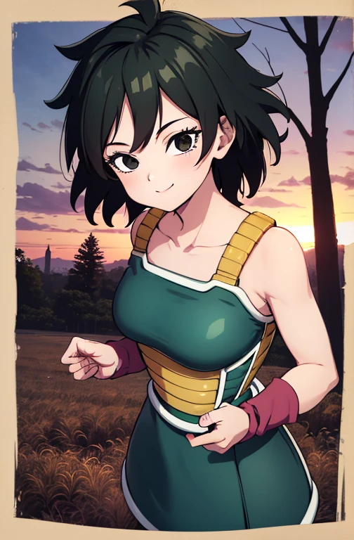 masterpiece, best quality, gine, saiyan armor, collarbone, green skirt, wristband, black pantyhose, upper body, smile, looking at viewer, field, trees, sunset sky, 1 girl, solo