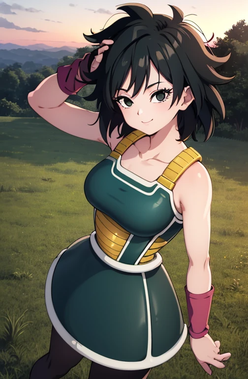 masterpiece, best quality, gine, saiyan armor, collarbone, green skirt, wristband, black pantyhose, upper body, smile, looking at viewer, field, trees, sunset sky, 1 girl, solo