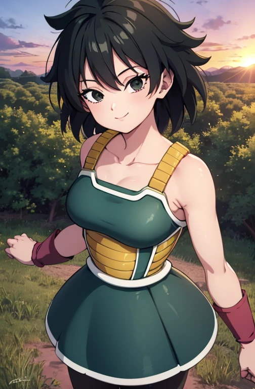 masterpiece, best quality, gine, saiyan armor, collarbone, green skirt, wristband, black pantyhose, upper body, smile, looking at viewer, field, trees, sunset sky, 1 girl, solo