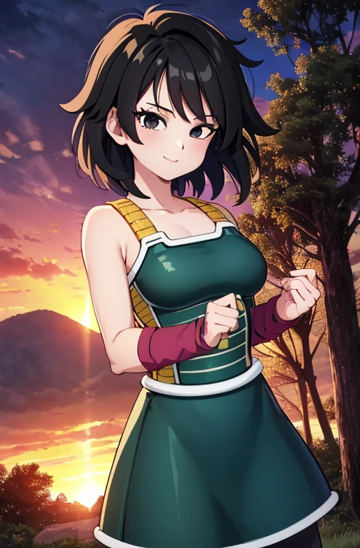 masterpiece, best quality, gine, saiyan armor, collarbone, green skirt, wristband, black pantyhose, upper body, smile, looking at viewer, field, trees, sunset sky, 1 girl, solo, cowboy shot