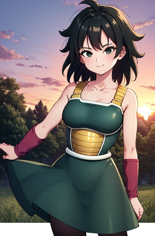 masterpiece, best quality, gine, saiyan armor, collarbone, green skirt, wristband, black pantyhose, upper body, smile, looking at viewer, field, trees, sunset sky, 1 girl, solo, cowboy shot