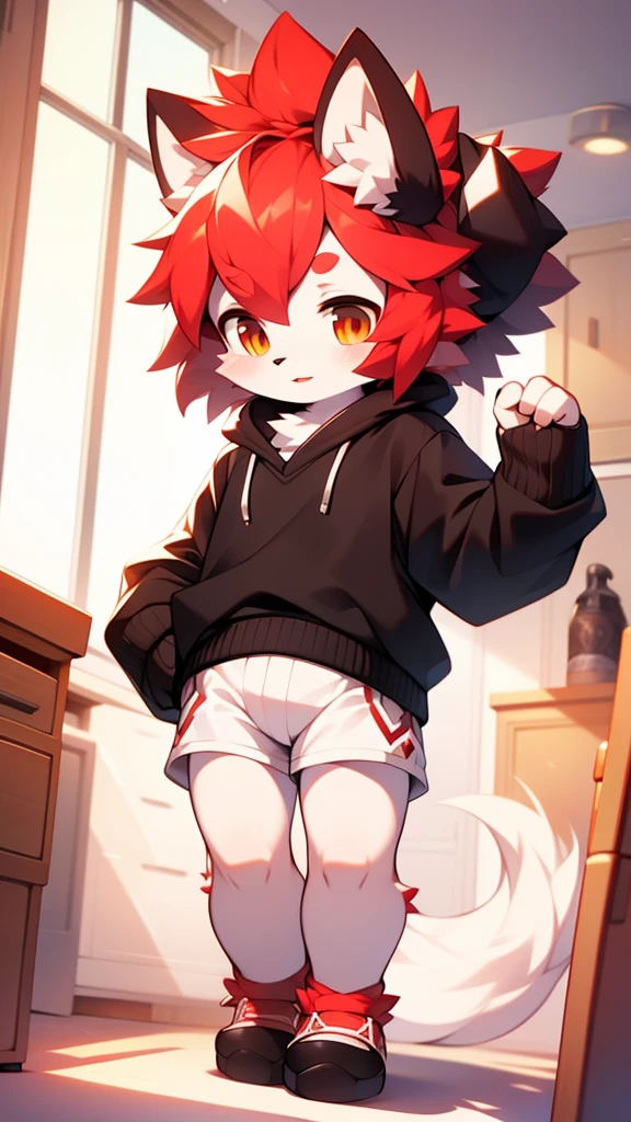 hairy,white wolf, red hair,thin,childhood,cute,black sweater,white shorts,red student,alone