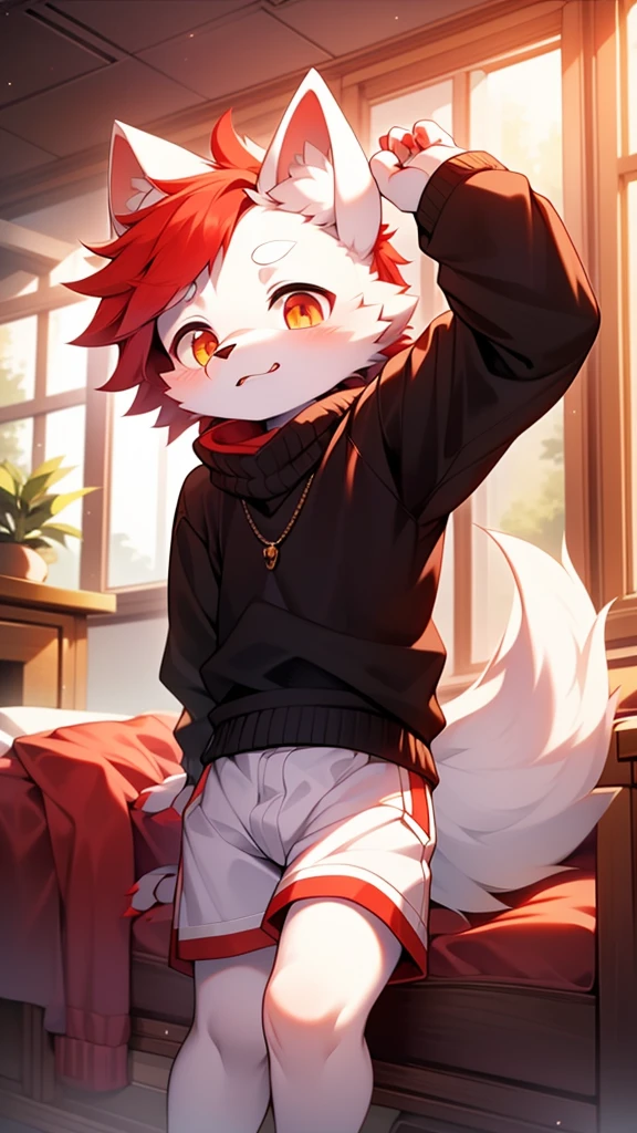 hairy，white wolf,   red hair，thin，childhood，cute，black sweater，white shorts，red student，alone