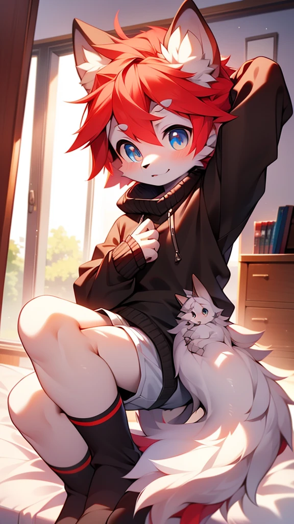 hairy,white wolf, red hair, blue eyes,thin,childhood,cute,black sweater,white shorts,red student,alone