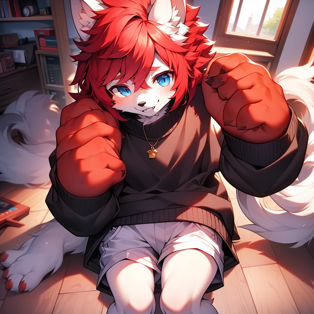 hairy，white wolf,   red hair,   blue eyes，thin，childhood，cute，black sweater，white shorts，red student，alone