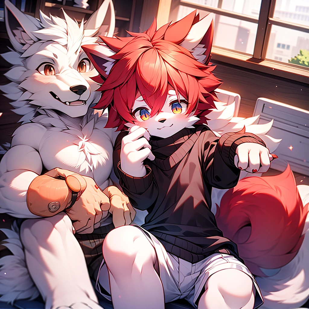 hairy,white wolf, red hair,thin,childhood,cute,black sweater,white shorts,red student,alone