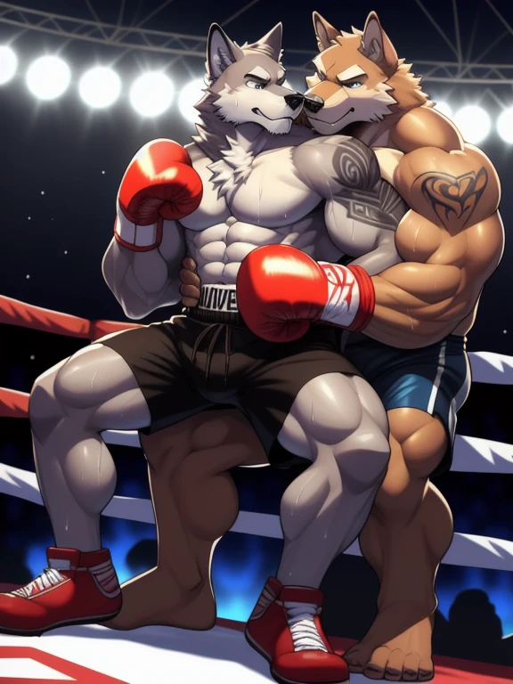 Duo male fighters(Gray Wolf vs Brown Wolf, handsomes, perfect eyes, Thick eyebrows), beso gay(Cuddling sit down embraced from behind in a boxing match, back perspective), hot(Full body, shirtless), handsomes(They are handsomes, correct anatomy), musculosos(Big muscle bodies, Six packs, muscle abs, big pecs, muscle legs, muscle backs), sweaty(very sweaty wet bodies), tatuajes(they have tattoos), Angry(They have an angry expression), Boxing gloves(They both are wearing boxing gloves), boxers(They are wearing shorts boxers), Hight resolution