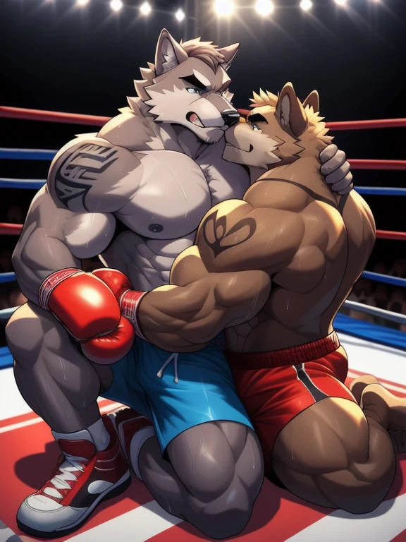 Duo male fighters(Gray Wolf vs Brown Wolf, handsomes, perfect eyes, Thick eyebrows), beso gay(Cuddling sit down in the ground embraced from behind in a boxing match, back perspective), hot(Full body, shirtless), handsomes(They are handsomes, correct anatomy), musculosos(Big muscle bodies, Six packs, muscle abs, big pecs, muscle legs, muscle backs), sweaty(very sweaty wet bodies), tatuajes(they have tattoos), Angry(They have an angry expression), Boxing gloves(They both are wearing boxing gloves), boxers(They are wearing shorts boxers), Hight resolution