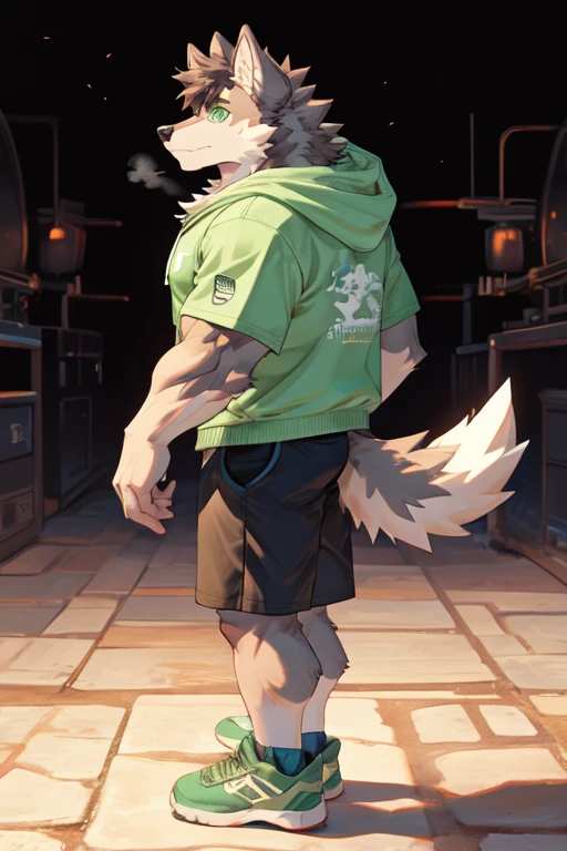 Furry, anthropomorphic wolf, Russet brown fur, dark brown hair, dark sap green eyes, 6'1 and 173 lbs, 41" Chest, 19" Shoulders, 13" Biceps, 32" waist, 23" Thighs, 15" Calves, 19" Back, wearing lime green hoody, zipper on hoody, wearing gray-green T-shirt, wearing Grayish-green sweat shorts, wearing dark slate gray slip on shoes, soft colors, vivid colors, pastel colors, soft shading 