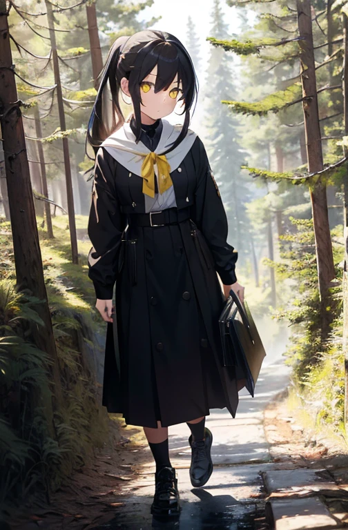 masterpiece,(1girl:17 yo), best quality, beautiful art style, noble lady outfit, white long hair, ponytail ,yellow eyes, serious expression, outside (forest), hill view, book cover ,full body, walking in the forest