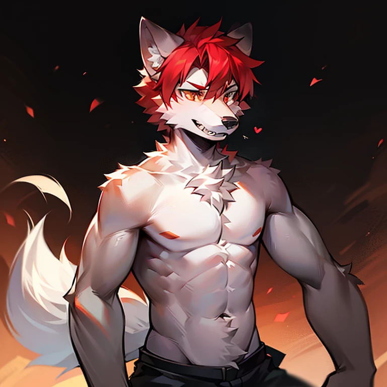 Red hair all over the body, male wolf,short hair, Bright Eyes,The eyes are gray，With black bow，White belly，The tip of the tail is white，Fierce wolf，Majestic and domineering