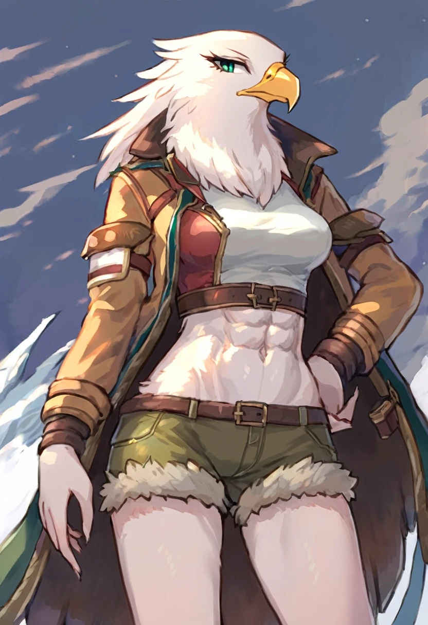 Game artstyle,  refined art, masterpiece, ((solo)), anthro, female eagle, expressive, good anatomy, attractive, shorts, adventurer, jrpg design, jacket, abs, standing