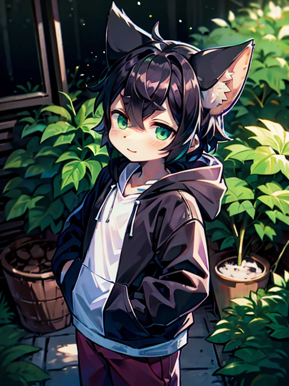masterpiece, alone, Furry, kemono, Shaggy fox, personification, black fur, Dark Skin, Mint green eyes, Mint green hoodie, Femboy,