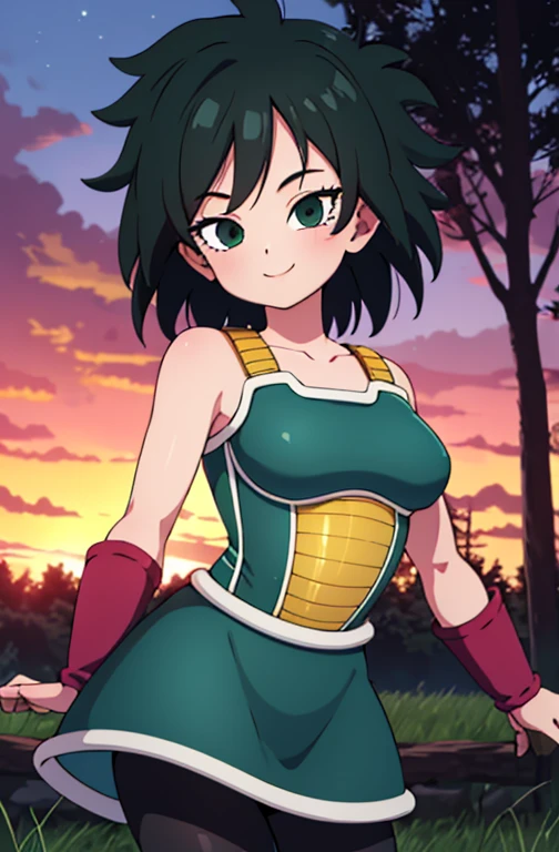 masterpiece, best quality, gine, saiyan armor, collarbone, green skirt, wristband, black pantyhose, upper body, smile, looking at viewer, field, trees, sunset sky, 1 girl, solo, cowboy shot