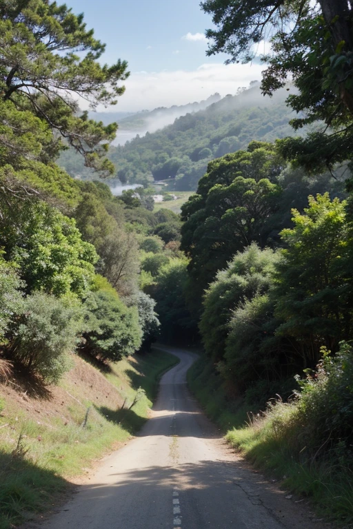 Uma pasagem em preto e branco sobre , (dois morros um do lado do outro), (full of trees and with fog halfway up the hill), ((between the hills a path with mist and full of trees)).