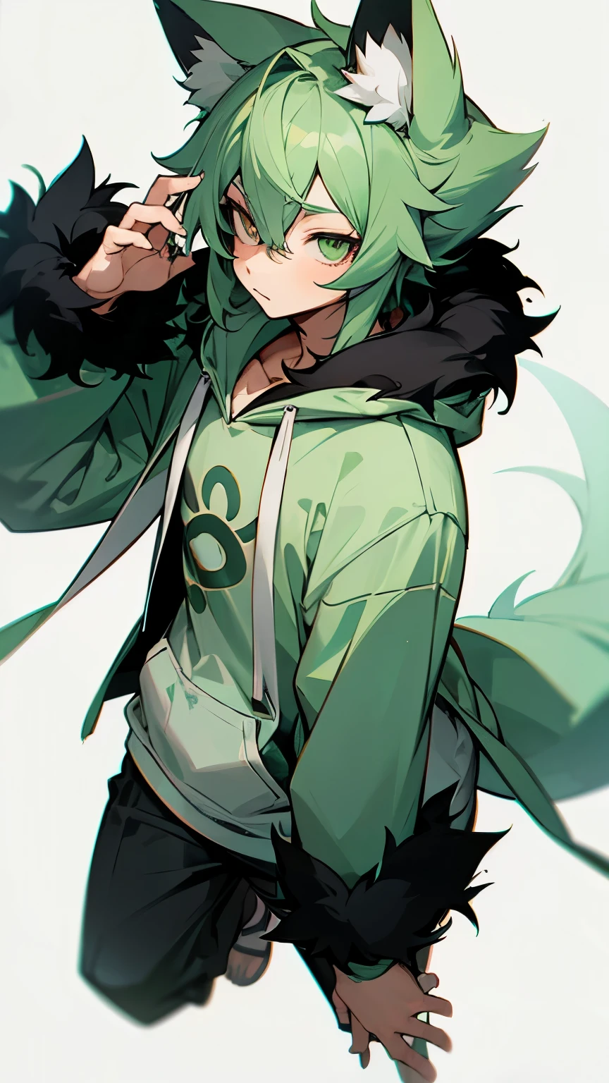 masterpiece, alone, boy,Furry, kemono, Shaggy fox, personification, black fur, Mint green eyes, Mint green hoodie, Femboy, 