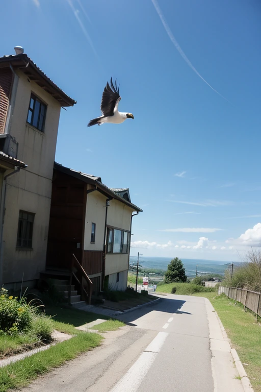 Lost Birds,Higurashi Yuu flying alone
