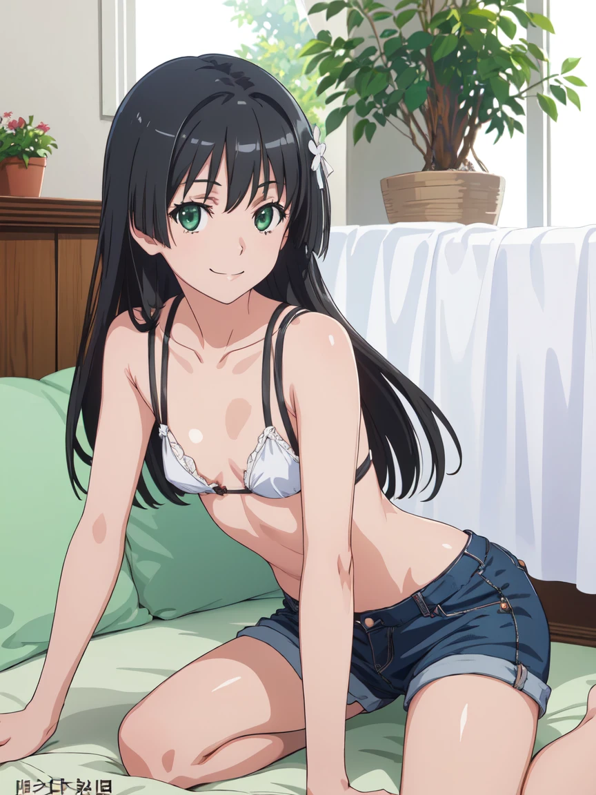 dvd cover, (High resolution:1.4), (masutepiece:1.2), (High quality:1.3) 1girl, saten ruiko, green eyes, long hair, black hair, small breast, smile