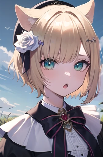 (masterpiece:1.3),((High resolution)),((high quality)),((Super detailed))、One girl、Perfect balance、Perfect Face、Detailed face、Cute face、Beautiful detailed eyes、Expressive eyes、Cute eyes、shiny eyes、Perfect body、Beautiful body、Highless、Walnut noa、Short Hair、Animal ears、beret、Black Hat、Hair Flowers、White Rose、Barrette、black bow tie、brooch、White shirt、Black Dress、Long sleeve、Puffy sleeves、Black Skirt、Grass、:o. wariza、field、whole body