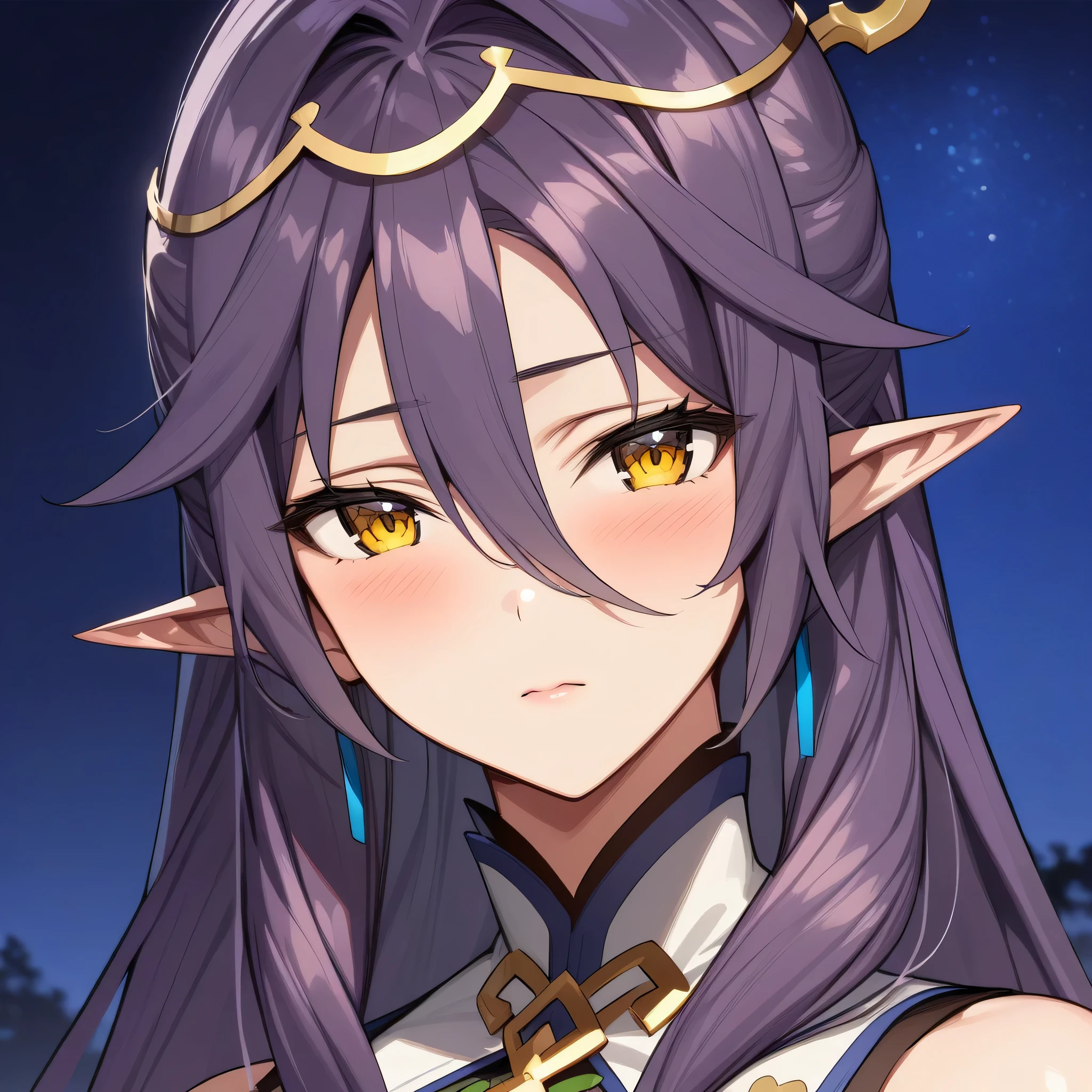 (masterpiece),(best quality),(ultra-detailed),(best illustration),(best shadow),(absurdres),(detailed background),(very aesthetic), looking at viewer, aria, 1girl, solo, pointy ears, yellow eyes, purple hair, looking at viewer, blush, portrait, hair between eyes, closed mouth, long hair, night background