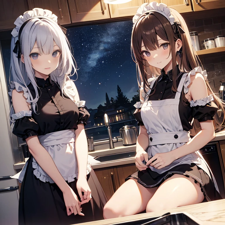 A group of maids, (in kitchen), various hair styles, harem, wearing maid uniform, night, details face, , short skirt, seducing, sleeveless , night, starry night 