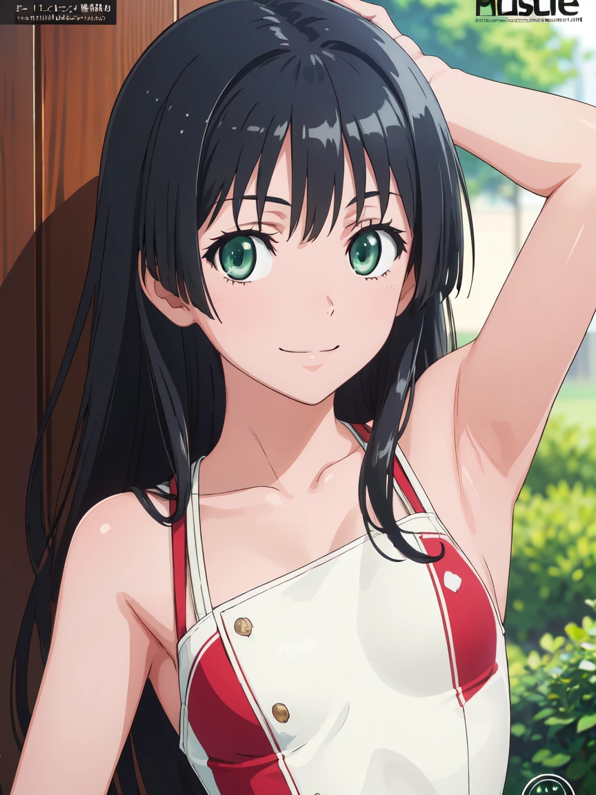 dvd cover, (High resolution:1.4), (masutepiece:1.2), (High quality:1.3) 1girl, saten ruiko, green eyes, long hair, black hair, small breast, smile