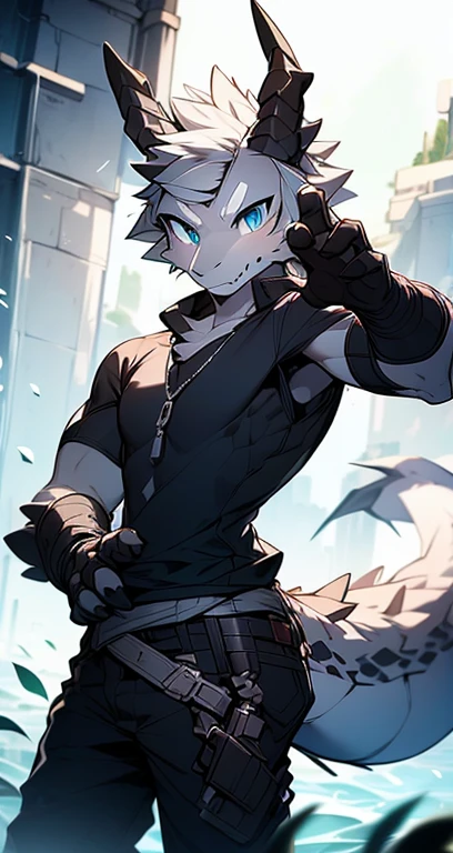 Masterpiece, Cool Pose, Furry Gray Dragon, Medium Strong Body, Blue Eyes, Grey Medium Hair, Combat Black Shirt, Combat Gloves, Combat Pants, Fierce, Good looking