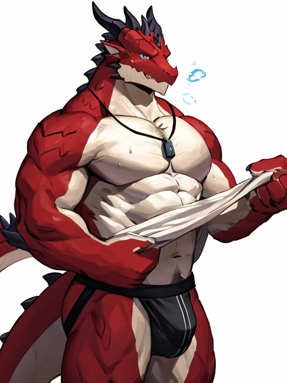 POV,top angle,sleep on stomach,lats,trapezius,butt lift,kemono, anthro (dragon), male, (dragon), muscular, back, red body, white belly ,sweat, ((correct anatomy)),stand up, sexy stand, white background, 1 boy, solo, wearing jockstrap, pain expression, canine tooth, hd, dark shadows, wide dynamic range, hdr, low light:1.2, front view, dragon, hairy, black and white fur, hairy, Sweating, Sparkling blue eyes, Big pink‚ with big‚ abs‚ handsome‚ sex, sad face, wearing white t- shirt, up view, high quality, super detail, short, 1080P, high quality, high quality, best quality, 8k, super detail, 16k, injury, bloods, full body, side view, full view, whistle, look down at viewer