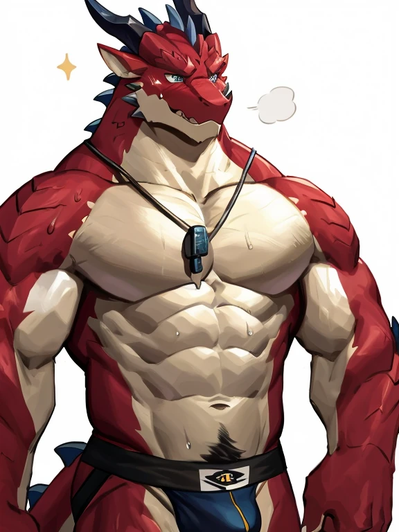 POV,top angle,sleep on stomach,lats,trapezius,butt lift,kemono, anthro (dragon), male, (dragon), muscular, back, red body, white belly ,sweat, ((correct anatomy)),stand up, sexy stand, white background, 1 boy, solo, wearing jockstrap, pain expression, canine tooth, hd, dark shadows, wide dynamic range, hdr, low light:1.2, front view, dragon, hairy, black and white fur, hairy, Sweating, Sparkling blue eyes, Big pink‚ with big‚ abs‚ handsome‚ sex, sad face, wearing white shirt, up view, high quality, super detail, short, 1080P, high quality, high quality, best quality, 8k, super detail, 16k, injury, bloods, full body, full view, whistle, look up