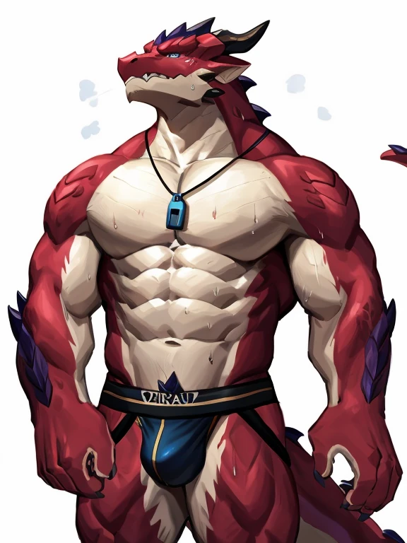 POV,top angle,sleep on stomach,lats,trapezius,butt lift,kemono, anthro (dragon), male, (dragon), muscular, back, red body, white belly ,sweat, ((correct anatomy)),stand up, sexy stand, white background, 1 boy, solo, wearing jockstrap, pain expression, canine tooth, hd, dark shadows, wide dynamic range, hdr, low light:1.2, front view, dragon, hairy, black and white fur, hairy, Sweating, Sparkling blue eyes, Big pink‚ with big‚ abs‚ handsome‚ sex, sad face, wearing white shirt, up view, high quality, super detail, short, 1080P, high quality, high quality, best quality, 8k, super detail, 16k, injury, bloods, full body, full view, whistle, look up